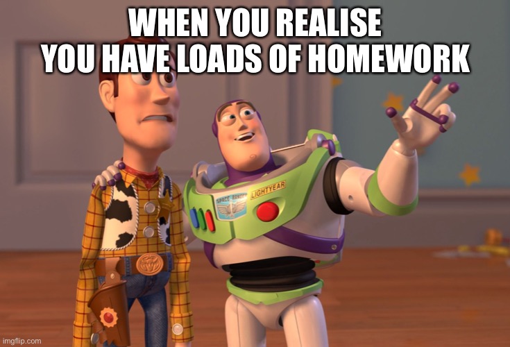 X, X Everywhere Meme | WHEN YOU REALISE YOU HAVE LOADS OF HOMEWORK | image tagged in memes,x x everywhere | made w/ Imgflip meme maker