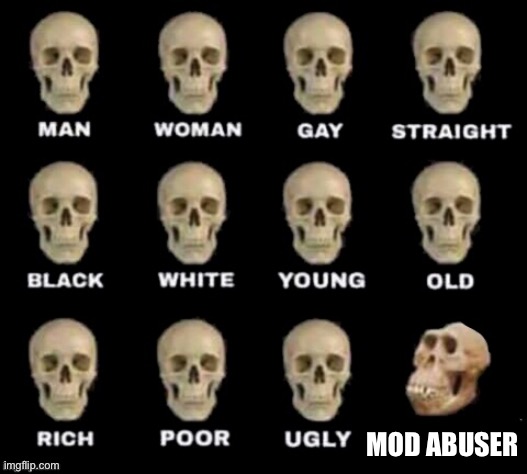idiot skull | MOD ABUSER | image tagged in idiot skull | made w/ Imgflip meme maker