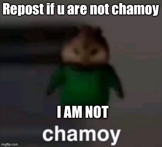 Yes | made w/ Imgflip meme maker