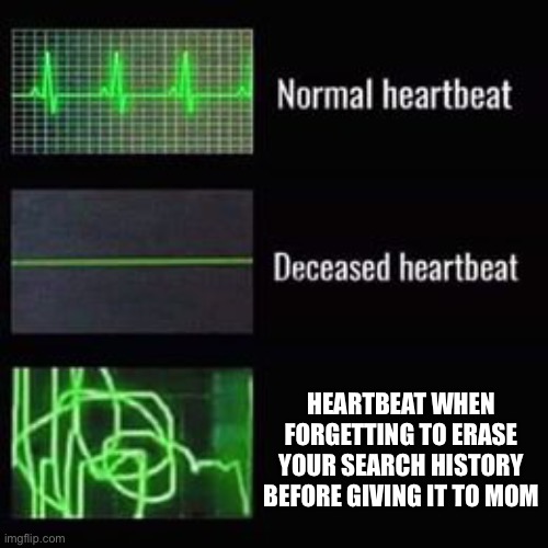 True story | HEARTBEAT WHEN FORGETTING TO ERASE YOUR SEARCH HISTORY BEFORE GIVING IT TO MOM | image tagged in heartbeat rate | made w/ Imgflip meme maker