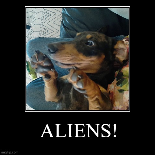 Aliens! | image tagged in funny,demotivationals | made w/ Imgflip demotivational maker
