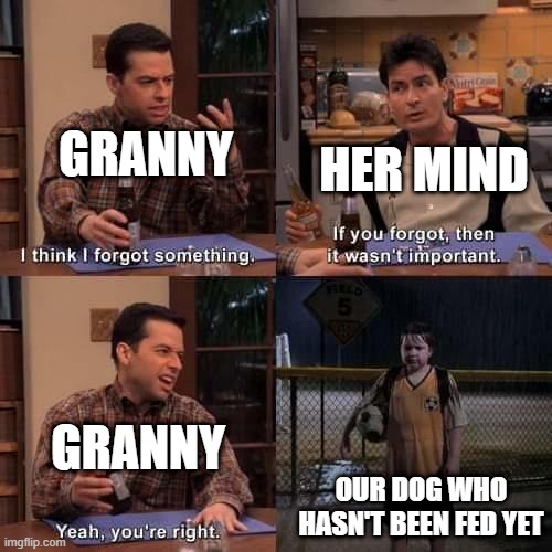 Gran forgot to feed Katie yesterday, glad we reminded her :) | GRANNY; HER MIND; GRANNY; OUR DOG WHO HASN'T BEEN FED YET | image tagged in i think i forgot something | made w/ Imgflip meme maker