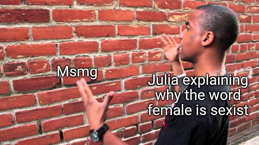 Talking to wall | Msmg; Julia explaining why the word female is sexist | image tagged in talking to wall | made w/ Imgflip meme maker