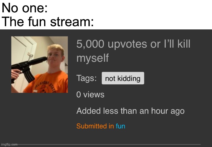 IM UPVOTE BEGGINGGGGG | No one:
The fun stream: | image tagged in funny | made w/ Imgflip meme maker