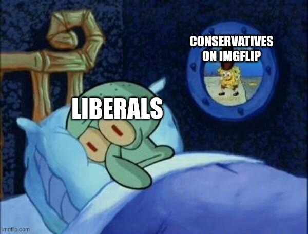 snowflakes | CONSERVATIVES ON IMGFLIP; LIBERALS | image tagged in cowboy spongebob | made w/ Imgflip meme maker