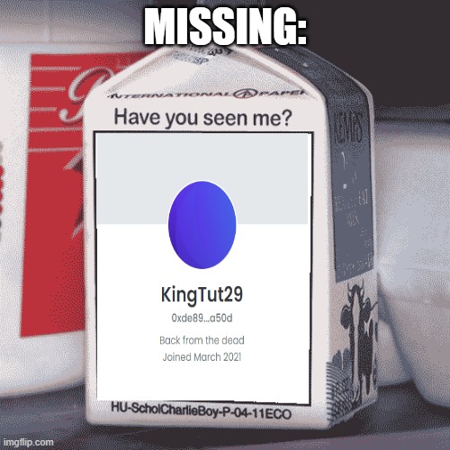 Missing Person | MISSING: | image tagged in missing person | made w/ Imgflip meme maker