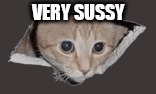ceiling cat transparent | VERY SUSSY | image tagged in ceiling cat transparent | made w/ Imgflip meme maker