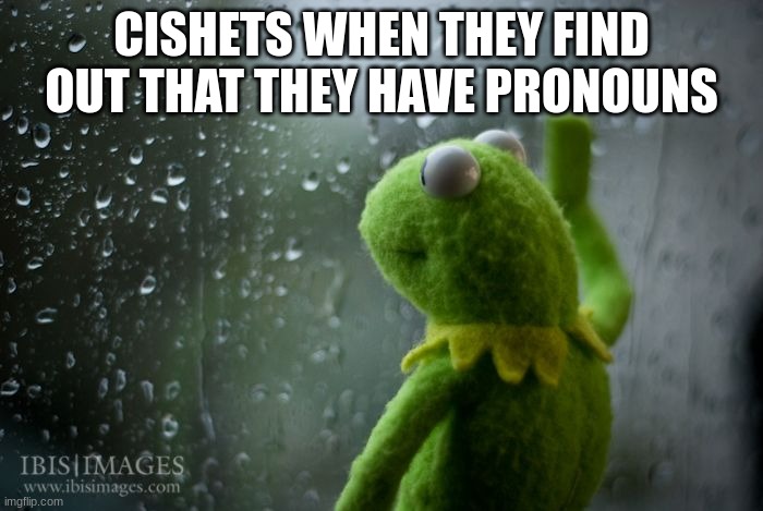 kermit window | CISHETS WHEN THEY FIND OUT THAT THEY HAVE PRONOUNS | image tagged in kermit window | made w/ Imgflip meme maker