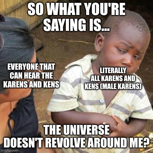 Public Outbursts solver | SO WHAT YOU'RE SAYING IS... EVERYONE THAT CAN HEAR THE KARENS AND KENS; LITERALLY ALL KARENS AND KENS (MALE KARENS); THE UNIVERSE DOESN'T REVOLVE AROUND ME? | image tagged in memes,third world skeptical kid | made w/ Imgflip meme maker