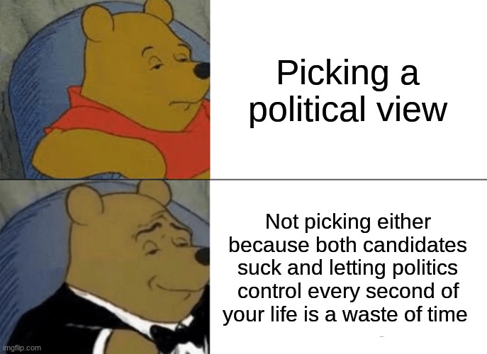 Tuxedo Winnie The Pooh Meme | Picking a political view; Not picking either because both candidates suck and letting politics control every second of your life is a waste of time | image tagged in memes,tuxedo winnie the pooh | made w/ Imgflip meme maker