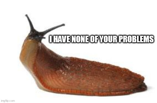 slug life | I HAVE NONE OF YOUR PROBLEMS | image tagged in slug life | made w/ Imgflip meme maker