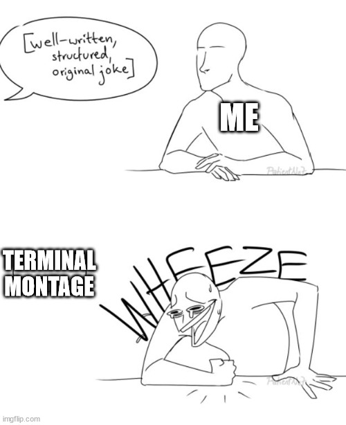 Wheeze | ME; TERMINAL MONTAGE | image tagged in wheeze | made w/ Imgflip meme maker