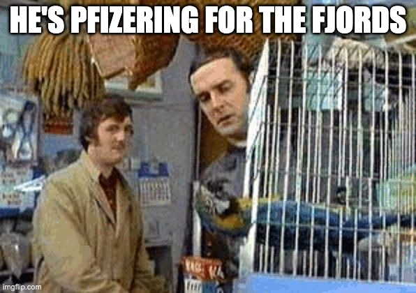 Monty Python dead parrot | HE'S PFIZERING FOR THE FJORDS | image tagged in monty python dead parrot | made w/ Imgflip meme maker