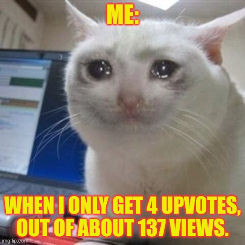 I'm not trying to upvote beg... | ME:; WHEN I ONLY GET 4 UPVOTES, OUT OF ABOUT 137 VIEWS. | image tagged in crying cat,upvotes | made w/ Imgflip meme maker