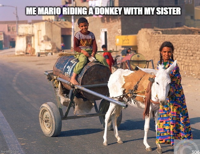 Mario Terence | image tagged in mario and sister | made w/ Imgflip meme maker