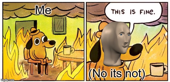 This Is Fine | Me; (No its not) | image tagged in memes,this is fine | made w/ Imgflip meme maker