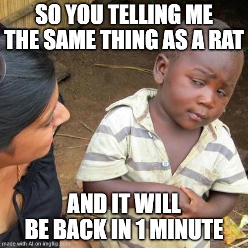 Third World Skeptical Kid Meme | SO YOU TELLING ME THE SAME THING AS A RAT; AND IT WILL BE BACK IN 1 MINUTE | image tagged in memes,third world skeptical kid | made w/ Imgflip meme maker