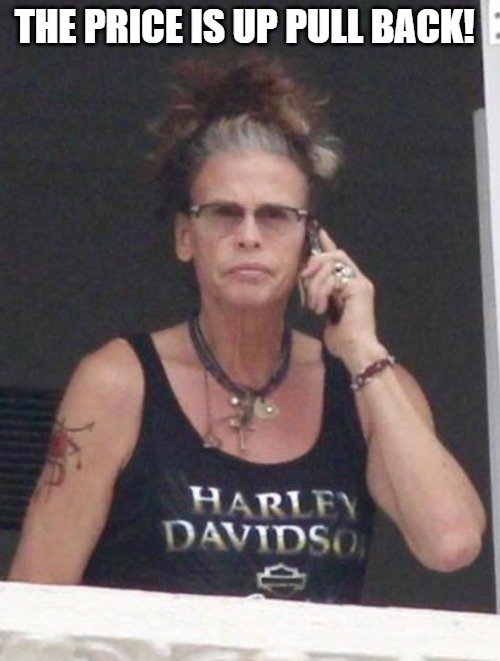 PUMP PUMP | THE PRICE IS UP PULL BACK! | image tagged in steven tyler | made w/ Imgflip meme maker