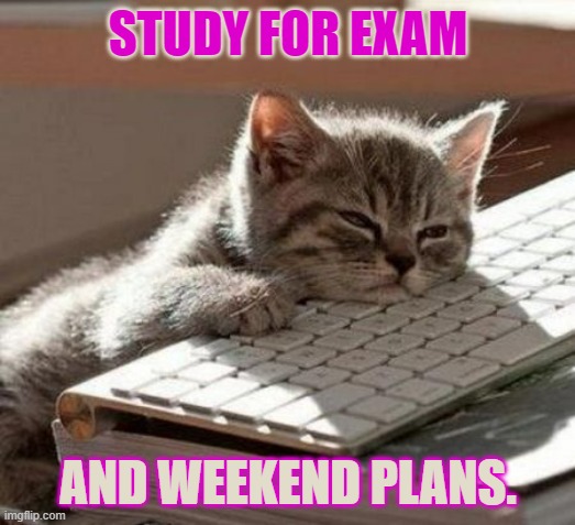 STUDY FOR EXAM AND WEEKEND PLANS. | made w/ Imgflip meme maker