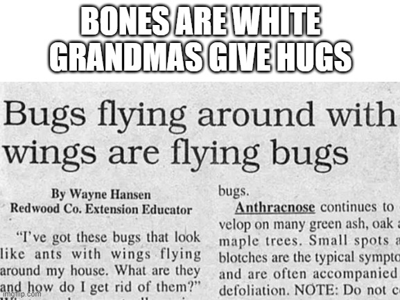 Yeah, of course, idiot | BONES ARE WHITE
GRANDMAS GIVE HUGS | image tagged in you had one job | made w/ Imgflip meme maker