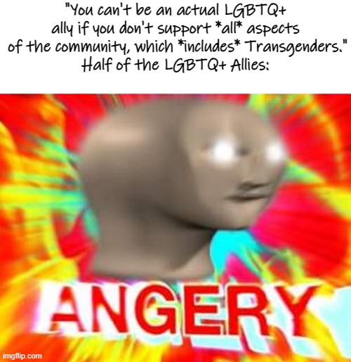 I don't get why so many allies are all "Love is Love!", but the second Transgenders are mentioned, they're all like "Nooooo!!!!" | "You can't be an actual LGBTQ+ ally if you don't support *all* aspects  of the community, which *includes* Transgenders."
Half of the LGBTQ+ Allies: | image tagged in surreal angery,lgbtq,transgender,really bro,illogical,nooo haha go brrr | made w/ Imgflip meme maker