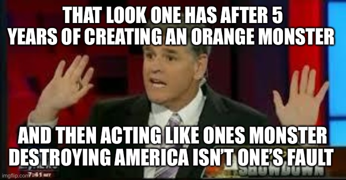 Hannity | THAT LOOK ONE HAS AFTER 5 YEARS OF CREATING AN ORANGE MONSTER; AND THEN ACTING LIKE ONES MONSTER DESTROYING AMERICA ISN’T ONE’S FAULT | image tagged in hannity | made w/ Imgflip meme maker