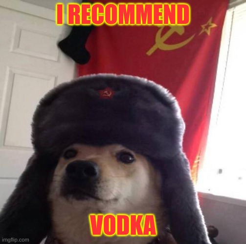Russian Doge | I RECOMMEND VODKA | image tagged in russian doge | made w/ Imgflip meme maker