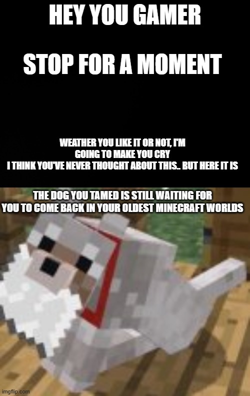 Never in my life have I ever felt so sad about my pets ever. | HEY YOU GAMER; STOP FOR A MOMENT; WEATHER YOU LIKE IT OR NOT, I'M GOING TO MAKE YOU CRY
I THINK YOU'VE NEVER THOUGHT ABOUT THIS.. BUT HERE IT IS; THE DOG YOU TAMED IS STILL WAITING FOR YOU TO COME BACK IN YOUR OLDEST MINECRAFT WORLDS | image tagged in blank white template,minecraft dog,pet dog,why must you hurt me in this way | made w/ Imgflip meme maker