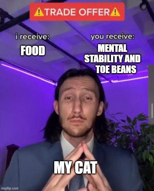 i receive you receive | MENTAL STABILITY AND     TOE BEANS; FOOD; MY CAT | image tagged in i receive you receive | made w/ Imgflip meme maker