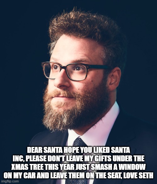 Seth Rogan | DEAR SANTA HOPE YOU LIKED SANTA INC, PLEASE DON'T LEAVE MY GIFTS UNDER THE XMAS TREE THIS YEAR JUST SMASH A WINDOW ON MY CAR AND LEAVE THEM ON THE SEAT, LOVE SETH | image tagged in seth rogan | made w/ Imgflip meme maker