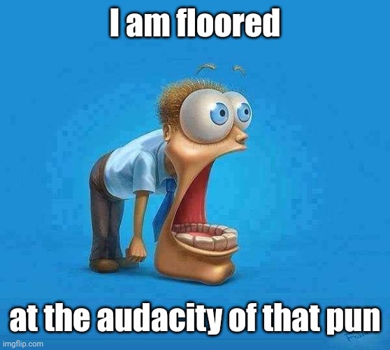 jaw dropping | I am floored at the audacity of that pun | image tagged in jaw dropping | made w/ Imgflip meme maker