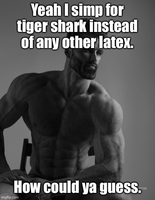 OFF TO FURRIES STREAM | Yeah I simp for tiger shark instead of any other latex. How could ya guess. | image tagged in changed | made w/ Imgflip meme maker