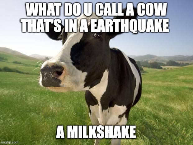 The Cow | WHAT DO U CALL A COW THAT'S IN A EARTHQUAKE; A MILKSHAKE | image tagged in cow | made w/ Imgflip meme maker