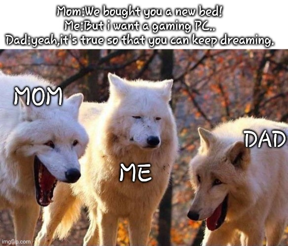 w.o.l.f. | Mom:We bought you a new bed!
Me:But i want a gaming PC..
Dad:yeah,it's true so that you can keep dreaming. MOM; DAD; ME | image tagged in laughing wolf | made w/ Imgflip meme maker