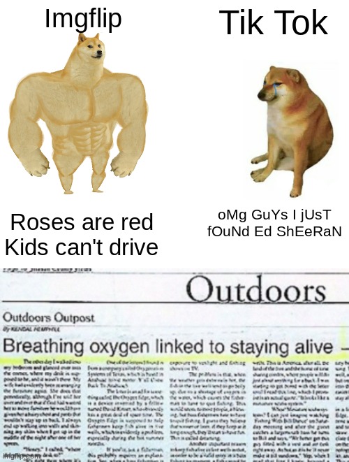 Imgflip and TikTok be like | Imgflip; Tik Tok; Roses are red
Kids can't drive; oMg GuYs I jUsT fOuNd Ed ShEeRaN | image tagged in memes,buff doge vs cheems,tiktok,imgflip | made w/ Imgflip meme maker