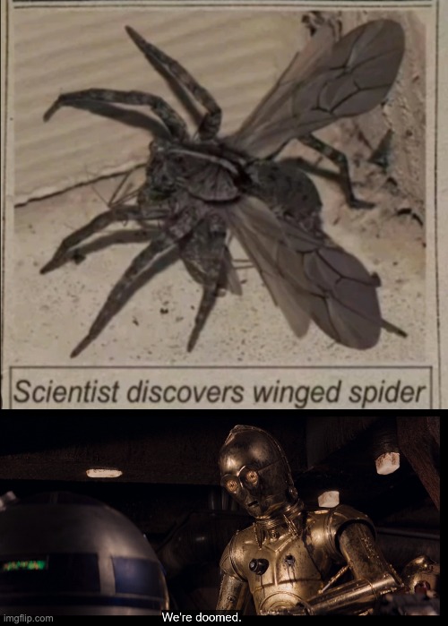 If we find this thing again, the world is screwed | image tagged in 3po we're doomed,memes,unfunny | made w/ Imgflip meme maker