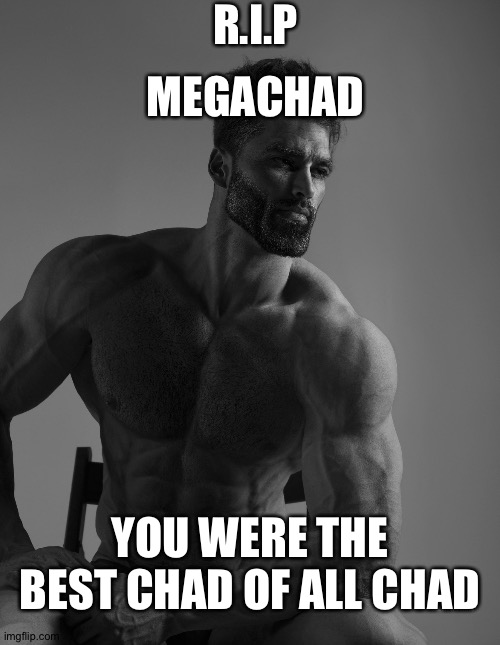 R.I.P | R.I.P; MEGACHAD; YOU WERE THE BEST CHAD OF ALL CHAD | image tagged in giga chad,r i p | made w/ Imgflip meme maker
