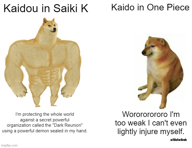 Kaidou Shun v Kaido King of Beasts | Kaidou in Saiki K; Kaido in One Piece; I'm protecting the whole world against a secret powerful organization called the "Dark Reunion" using a powerful demon sealed in my hand. Worororororo I'm too weak I can't even lightly injure myself. u/BIsForBruh | image tagged in memes,buff doge vs cheems | made w/ Imgflip meme maker