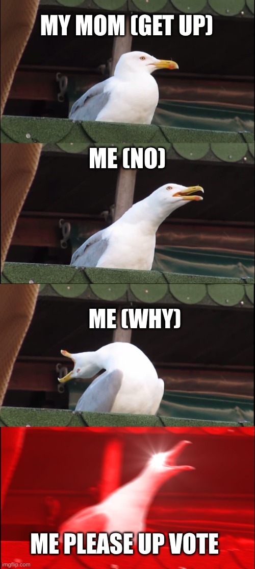 up | MY MOM (GET UP); ME (NO); ME (WHY); ME PLEASE UP VOTE | image tagged in memes,inhaling seagull | made w/ Imgflip meme maker