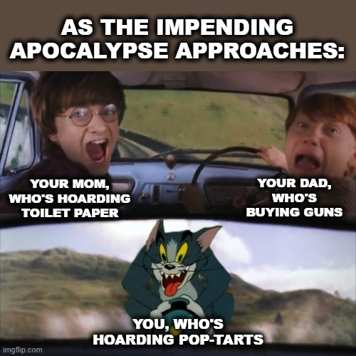 Getting ready! | AS THE IMPENDING APOCALYPSE APPROACHES:; YOUR DAD, WHO'S BUYING GUNS; YOUR MOM, WHO'S HOARDING TOILET PAPER; YOU, WHO'S HOARDING POP-TARTS | image tagged in tom chasing harry and ron weasly,memes,toilet paper,guns,pop-tarts,impending apocalypse | made w/ Imgflip meme maker