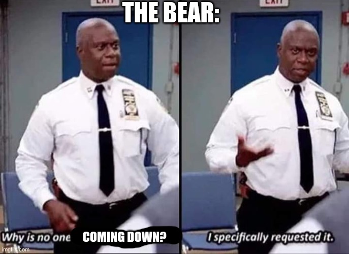 Why is no one having a good time? I specifically requested it | COMING DOWN? THE BEAR: | image tagged in why is no one having a good time i specifically requested it | made w/ Imgflip meme maker