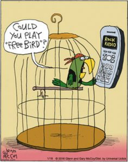 Come On Play It | image tagged in memes,comics,cell phone,play,free,bird | made w/ Imgflip meme maker