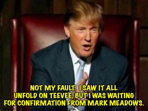 Donald Trump | NOT MY FAULT.  I SAW IT ALL UNFOLD ON TEEVEE, BUT I WAS WAITING FOR CONFIRMATION FROM MARK MEADOWS. | image tagged in donald trump | made w/ Imgflip meme maker