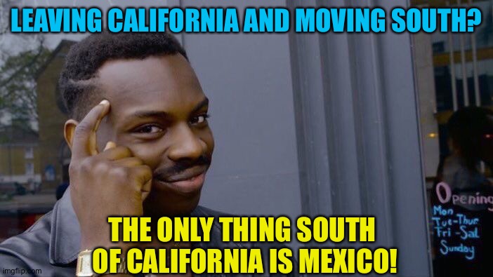 Roll Safe Think About It Meme | LEAVING CALIFORNIA AND MOVING SOUTH? THE ONLY THING SOUTH 
OF CALIFORNIA IS MEXICO! | image tagged in memes,roll safe think about it | made w/ Imgflip meme maker