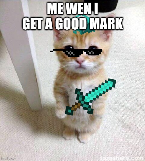 Me | ME WEN I GET A GOOD MARK | image tagged in memes,cute cat | made w/ Imgflip meme maker