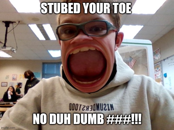 so true | STUBED YOUR TOE; NO DUH DUMB ###!!! | image tagged in owies | made w/ Imgflip meme maker