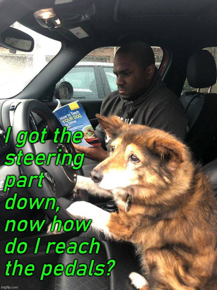 I got the 
steering 
part 
down, 
now how 
do I reach 
the pedals? | image tagged in dogs | made w/ Imgflip meme maker