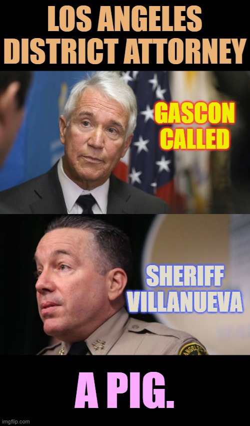 The Nerve | LOS ANGELES DISTRICT ATTORNEY; GASCON CALLED; SHERIFF VILLANUEVA; A PIG. | image tagged in memes,politics,district attorney,call,sheriff,pig | made w/ Imgflip meme maker