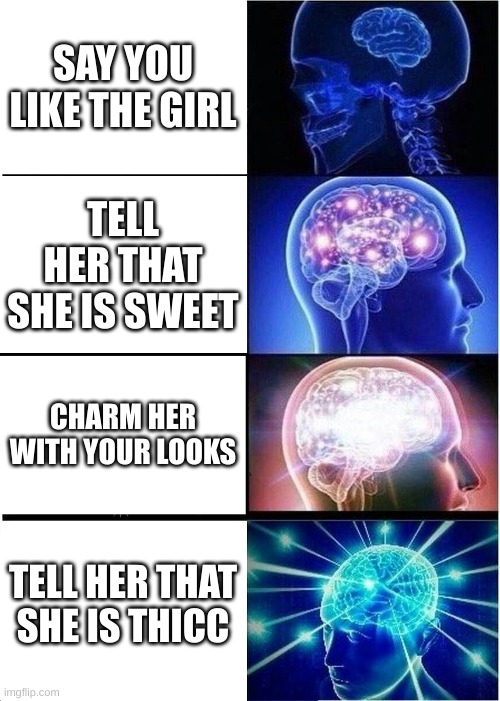 How to tell a girl you like her | SAY YOU LIKE THE GIRL; TELL HER THAT SHE IS SWEET; CHARM HER WITH YOUR LOOKS; TELL HER THAT SHE IS THICC | image tagged in memes,expanding brain | made w/ Imgflip meme maker