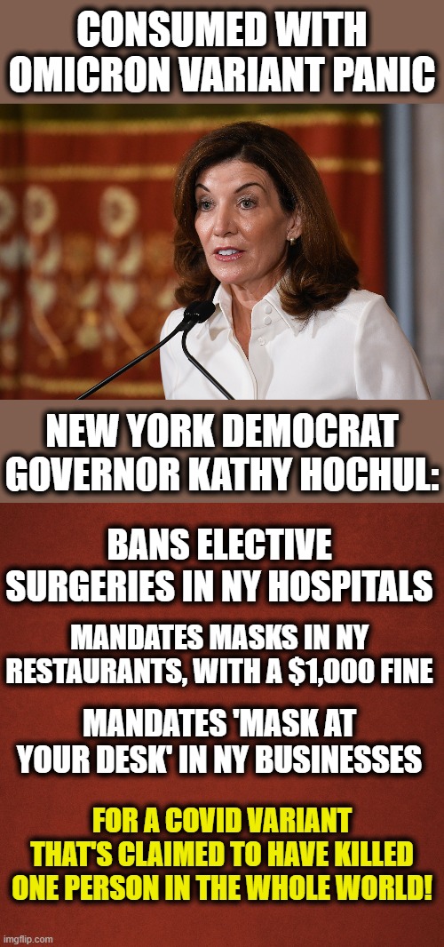 Even if there really was one death, the greater danger seems to be getting struck by lightning! | CONSUMED WITH OMICRON VARIANT PANIC; NEW YORK DEMOCRAT GOVERNOR KATHY HOCHUL:; BANS ELECTIVE SURGERIES IN NY HOSPITALS; MANDATES MASKS IN NY RESTAURANTS, WITH A $1,000 FINE; MANDATES 'MASK AT YOUR DESK' IN NY BUSINESSES; FOR A COVID VARIANT THAT'S CLAIMED TO HAVE KILLED ONE PERSON IN THE WHOLE WORLD! | image tagged in blank red background,memes,kathy hochul,new york,omicron,panic | made w/ Imgflip meme maker